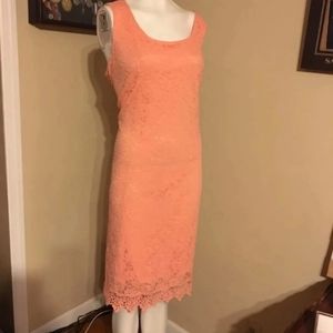 Alfani lace dress